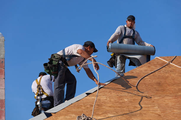 Gutter Installation and Roofing in Oak Ridge, FL
