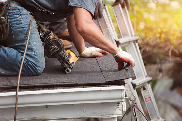 Best Metal Roofing Contractor  in Oak Ridge, FL
